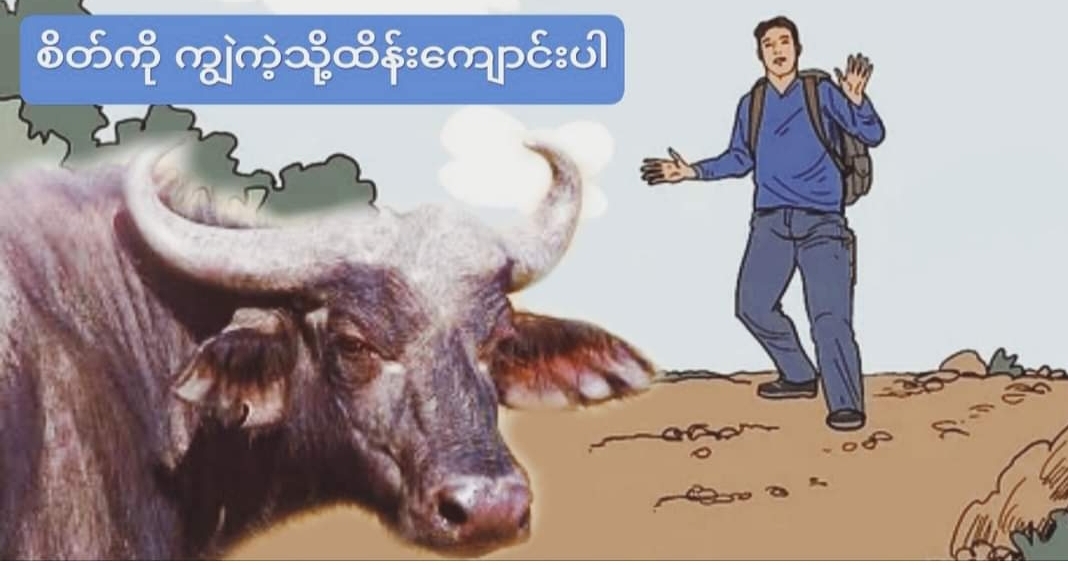 စိတ်ကို ကျွဲကဲ့သို့ထိန်းကျောင်းပါ